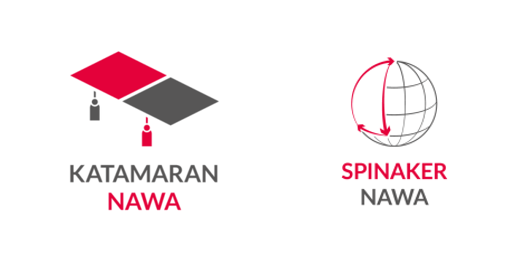 Webinarium informacyjne NAWA – SPINAKER 2025 i KATAMARAN 2025